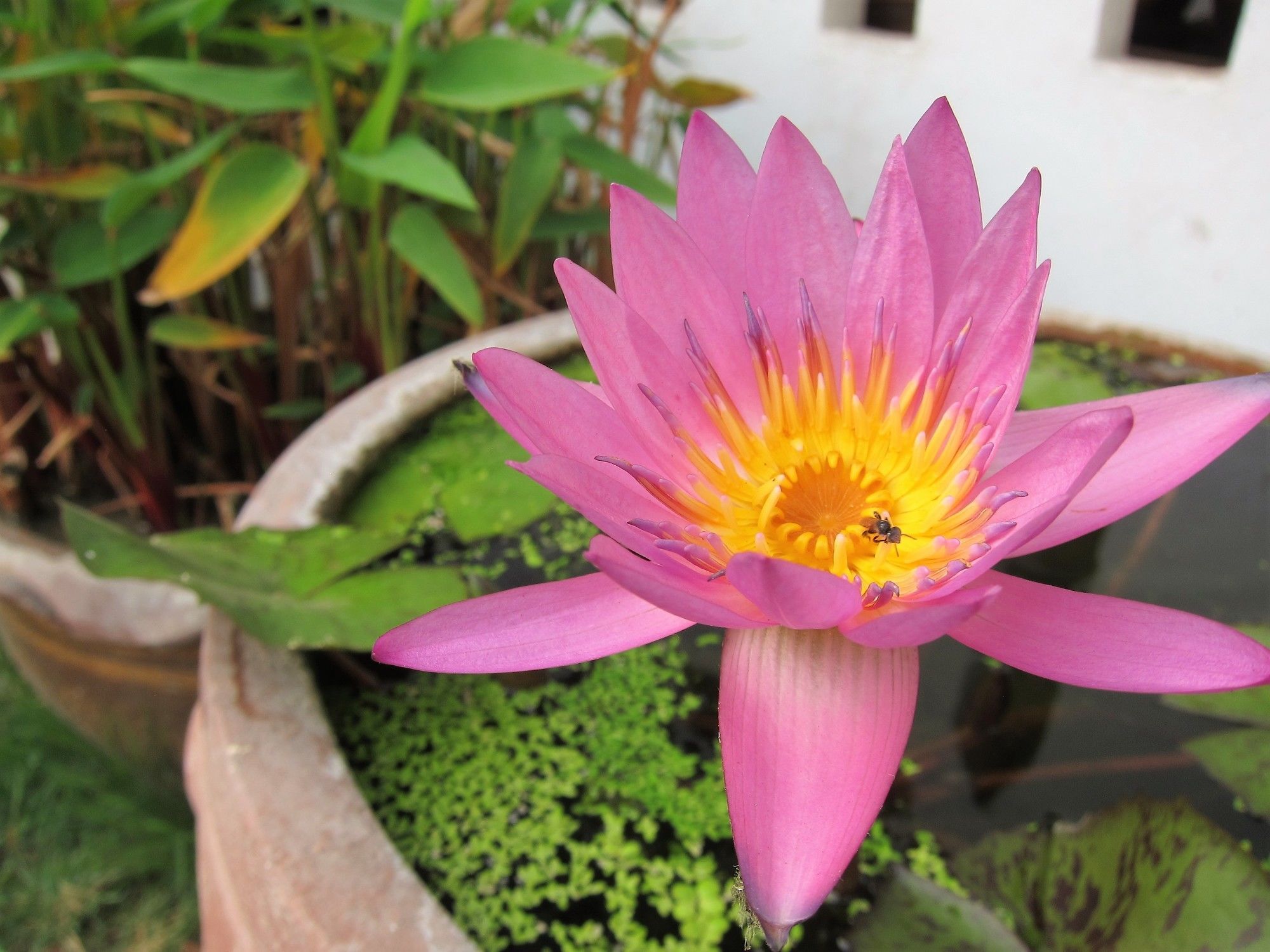V Lodge Chiang Mai Bagian luar foto