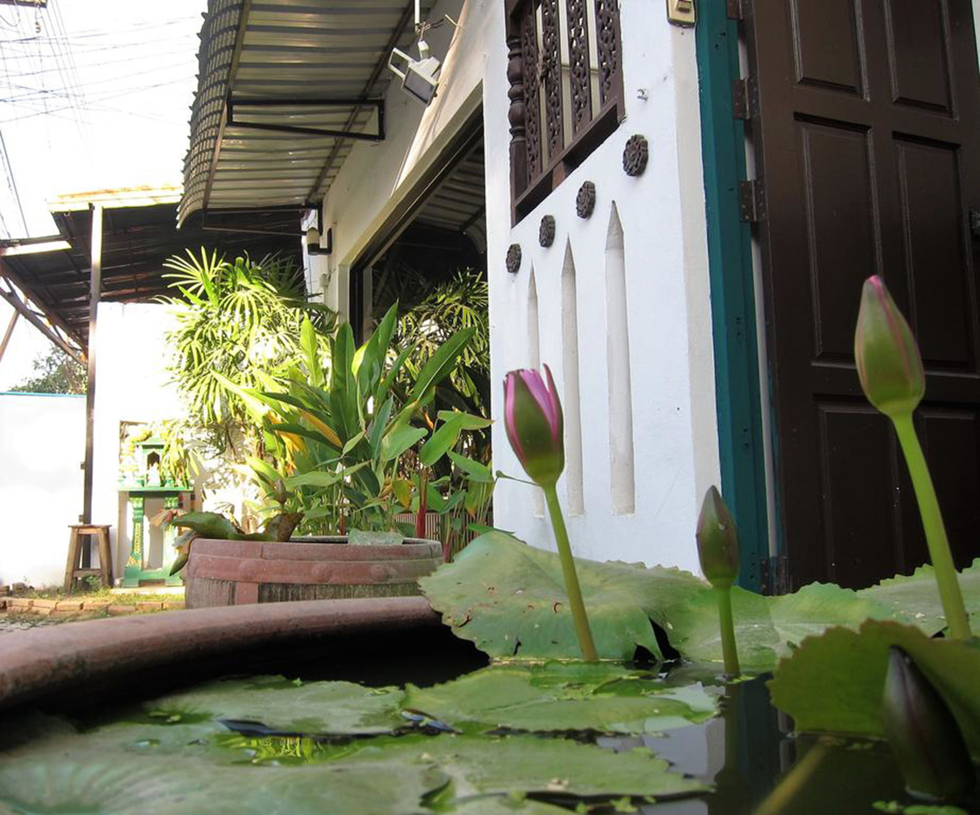V Lodge Chiang Mai Bagian luar foto